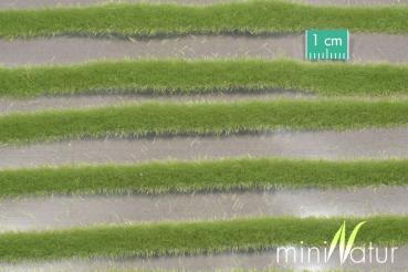 Grasstreifen kurz Frühling Minipack