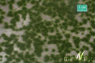 Karstbüschel Sommer