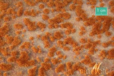 Moospolster Frühling Minipack