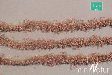 Agrarstreifen mit Blättern Spätherbst