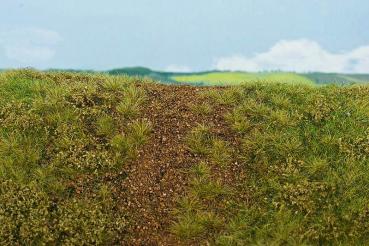 Bahndammbegrünung Frühling