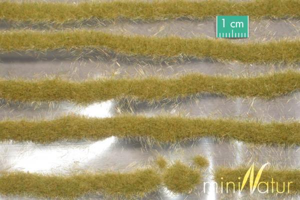 Grasstreifen kurz Spätherbst Minipack