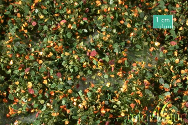 Unkrautbüschel Frühherbst Minipack