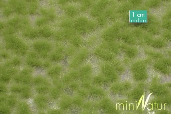 Grasbüschel lang Frühling Minipack