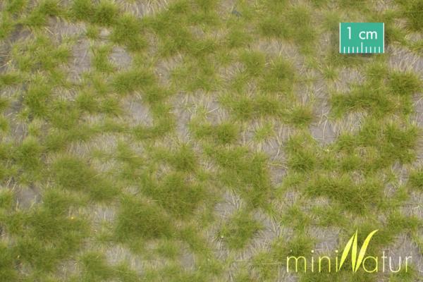 Karstbüschel Frühling