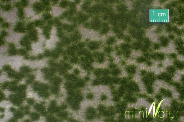 Karstbüschel Sommer Micropack