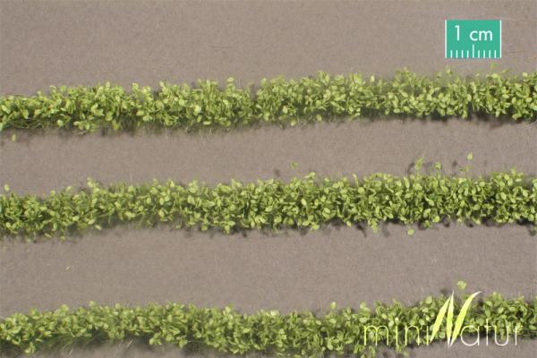 Agrarstreifen mit Blättern Frühling