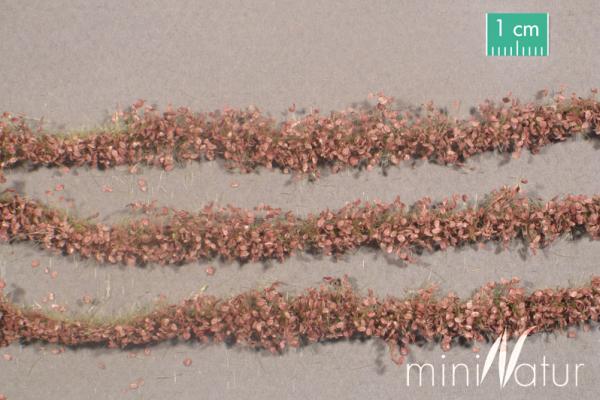 Agrarstreifen mit Blättern Spätherbst