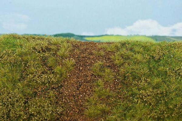 Bahndammbegrünung Frühling