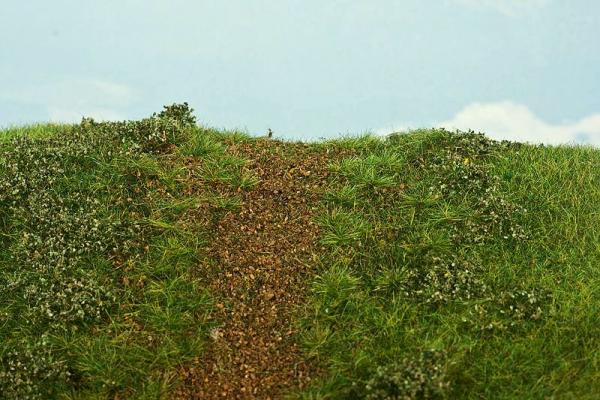 Bahndammbegrünung Frühsommer
