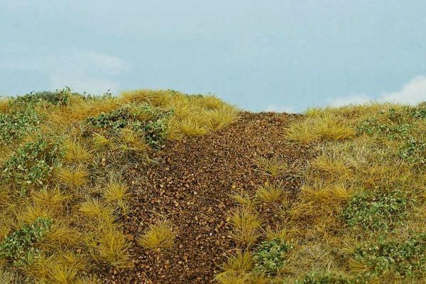 Bahndammbegrünung Spätsommer