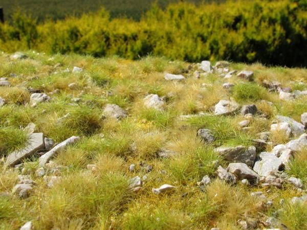 Grasmatte viele Steine Spätsommer