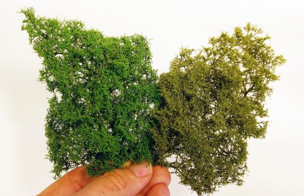 Feine Büsche Frühsommer