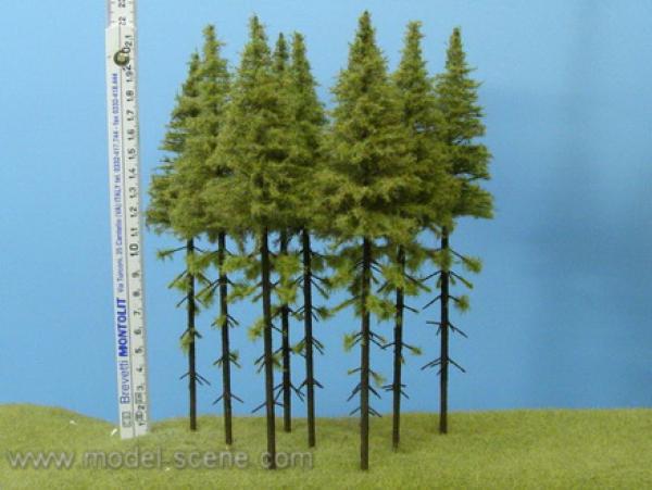 Larch with trunk 200mm