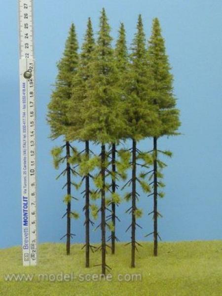 Larch with trunk 250mm