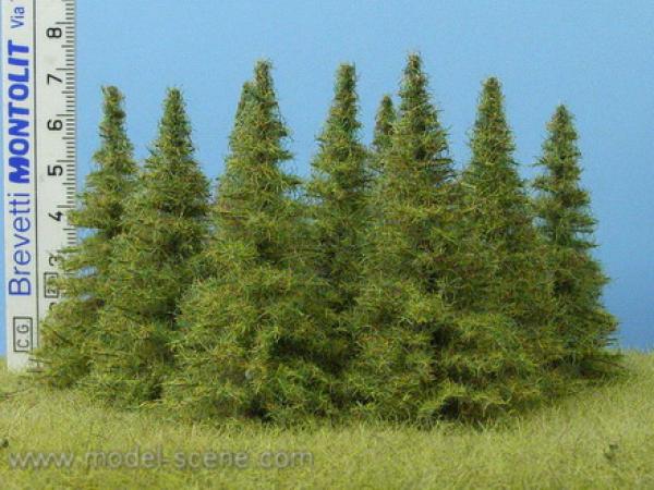 larch 70mm
