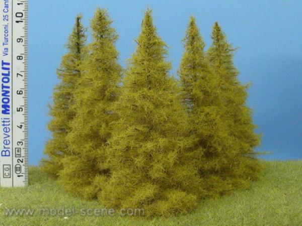 Larch autumn 100mm