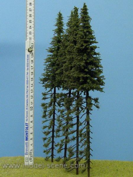Spruce with trunk 250mm